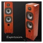 LEGACY AUDIO Expression Black Pearl