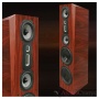 LEGACY AUDIO Focus XD Black Oak