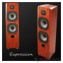 LEGACY AUDIO Expression Curly maple