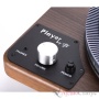 VPI Player Maple