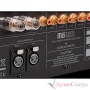 MUSICAL FIDELITY M6si 500 Silver