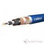 CARDAS AUDIO Clear Beyond IC RCA 0,5 m