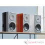 AUDIOVECTOR R1 Signature Black Ash