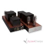 Audio Note Empress low gain Silver