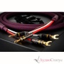 Tchernov Cable Classic MkIII SC Bn/Bn 2,65 m