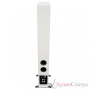 Scansonic HD L12 Walnut