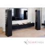 PIEGA Master Line Source 2 Black/High Gloss Black