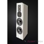 Legacy Audio Signature SE Sapele Pommele Satin
