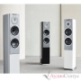 AUDIOVECTOR R3 Avantgarde Black Ash