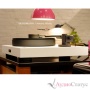 Bergmann Audio Magne Anniversary Black/Silver