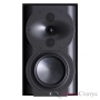 Perlisten Audio R4b White High Gloss