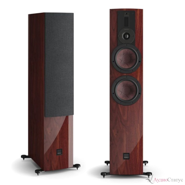 DALI Rubikore 6 Maroon High Gloss