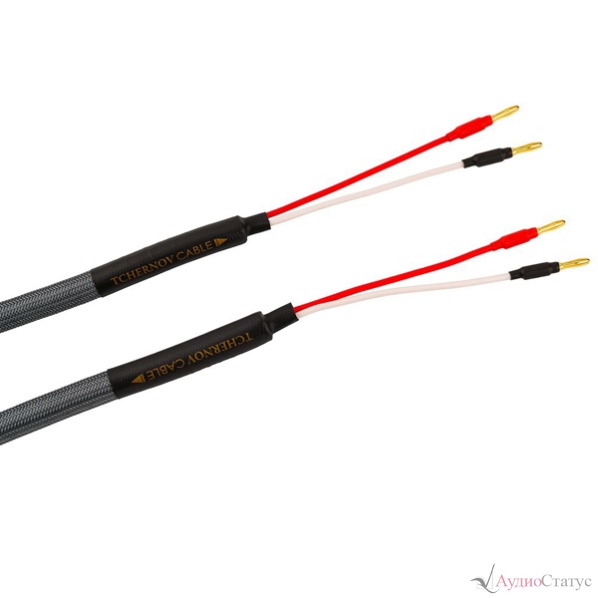 Tchernov Cable Special 2.5 SC Bn/Bn 1.65 m
