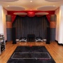 Vicoustic VicTotem Ultra VMT Natural Walnut Ref.23A