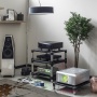 Bassocontinuo Aeroline F2