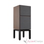 Revival Audio Atalante 7 Evo Walnut