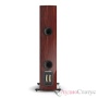 DALI Rubikore 6 Maroon High Gloss