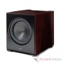 Paradigm XR 13 Midnight Cherry