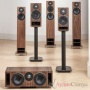 PMC twenty5.21i Walnut