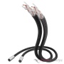 Inakustik Referenz NF-1205 AIR, 1.5 m, XLR, 0071853153