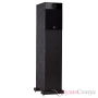 Fyne Audio F302 Black Ash