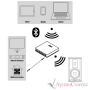 Piega Premium 701 Wireless W