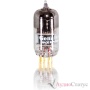Ps Audio BHK Signature 300 mono Silver