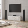 Piega Ace 50 Wireless RX Silver