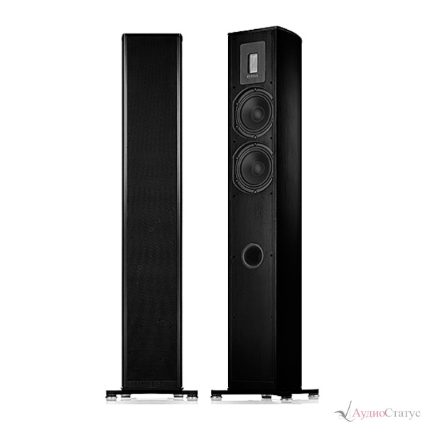 Piega Premium 701 Wireless AB