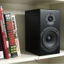 Totem Acoustic Loon Monitor Black Ash
