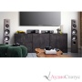 Cambridge Audio EXN100 Lunar Grey
