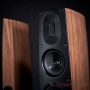 Scansonic HD Q8 Walnut Matt