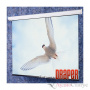 Draper Targa 564/222" 298x478 XT1000E (10:16)