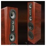 Legacy Audio Focus XD Walnut