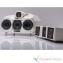 Wilson Audio Wasae Center Standart Colour