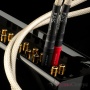Chord Company Epic Analogue XLR 1.5 m