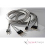 Studio Connections Monitor BW Banana 2,0 м