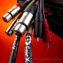 Chord Company Epic X Analogue XLR 3.5 m
