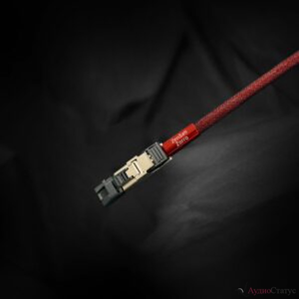 ZenSati Zorro Digital Ethernet 1,5 м