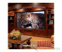 Draper Access/Series E 419/165" 222x356 XH800E (10:16)