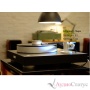 Bergmann Audio Magne Anniversary White/Silver