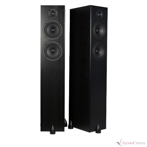 Totem Acoustic Bison Twin Tower Black Ash