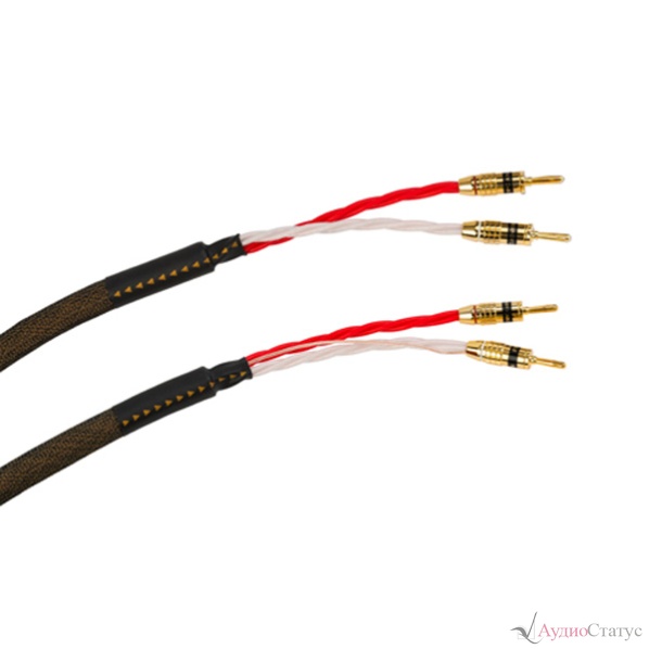 Tchernov Cable Reference DSC SC Bn/Bn 3,1 m