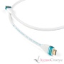 Chord Company C-view HDMI 10.0 m