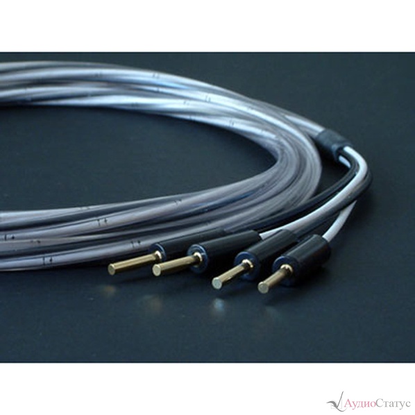 Studio Connections Monitor BW Banana 2,0 м